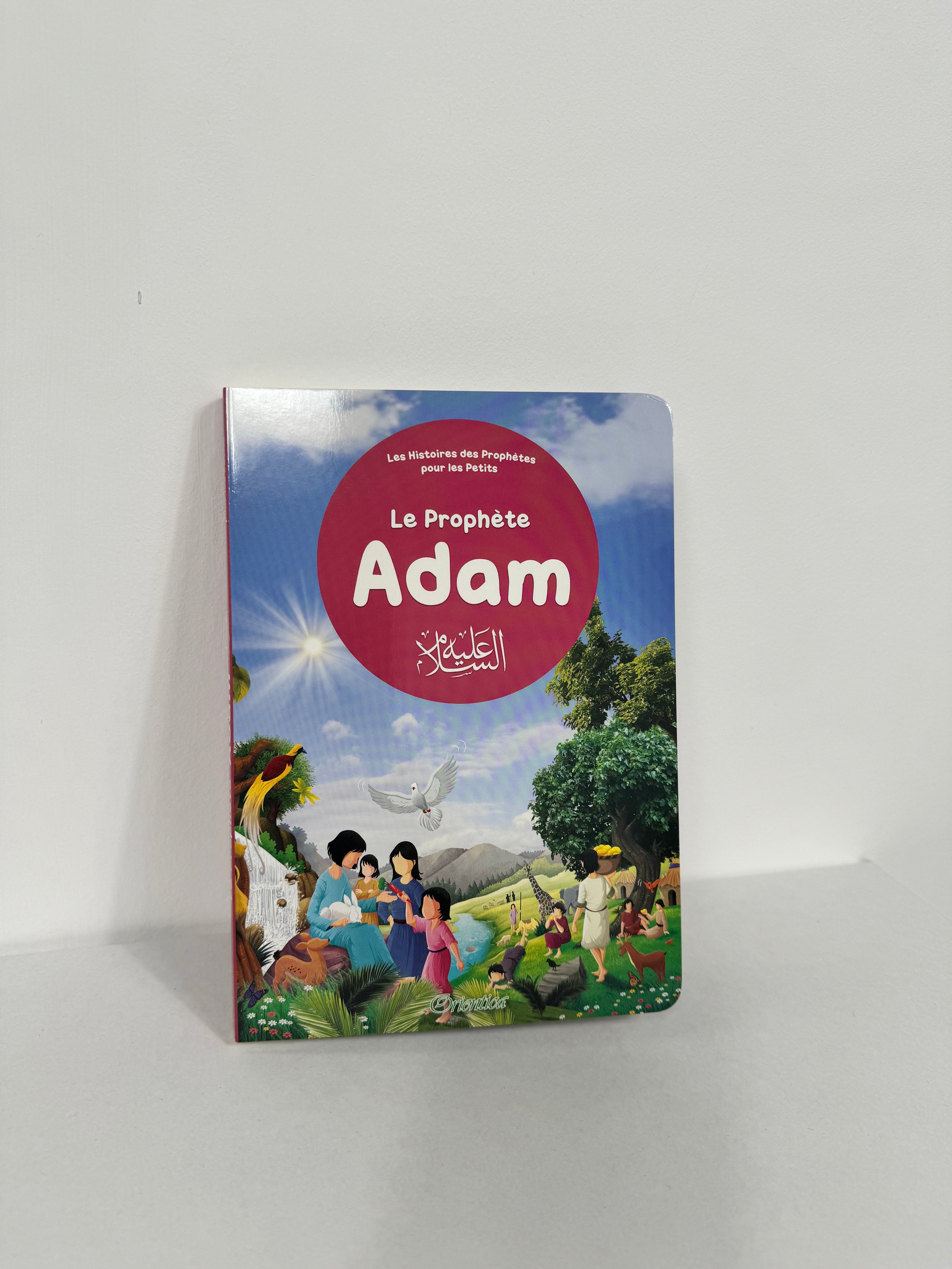 Stories of the Prophets for children (different series)